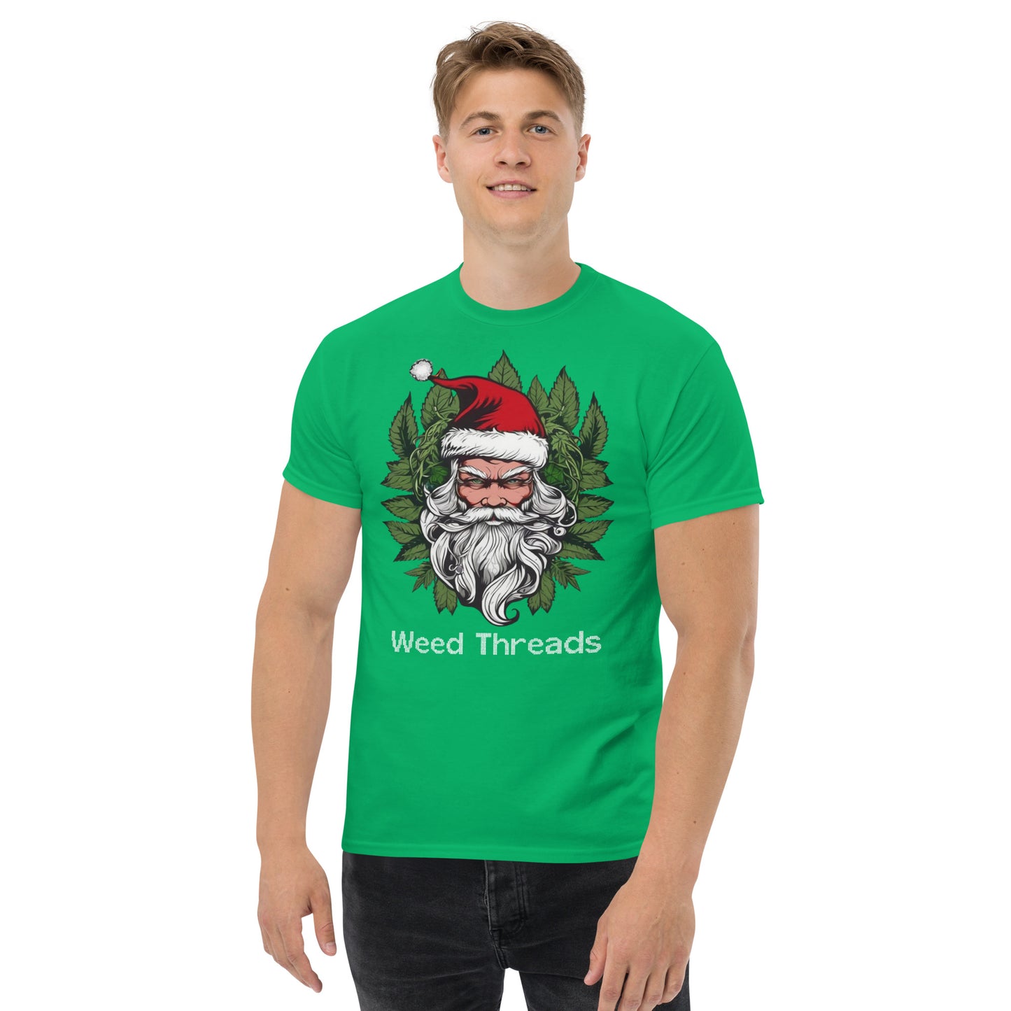 Santa T