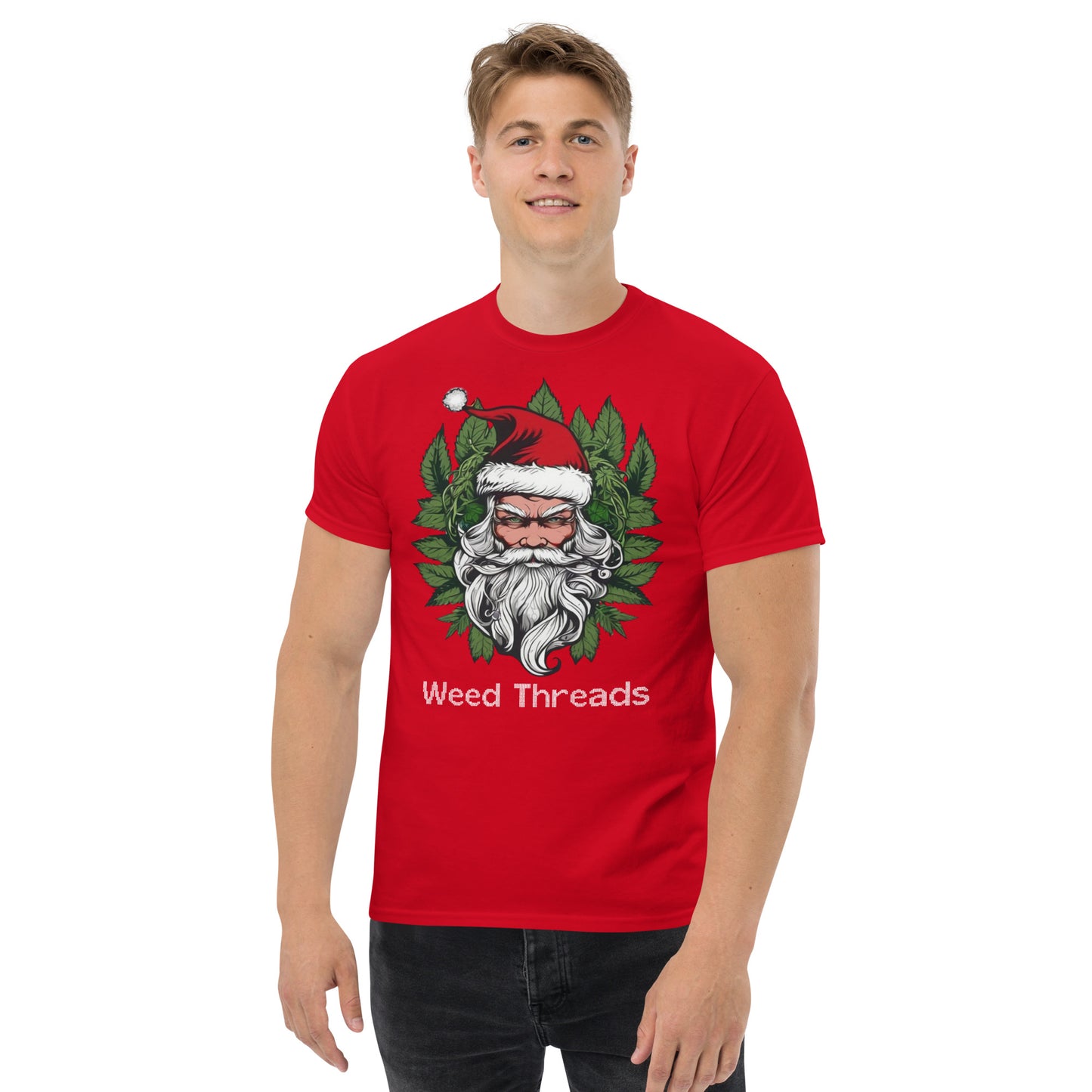 Santa T