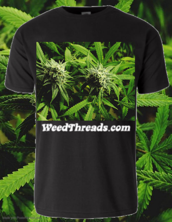 Fields of Weed